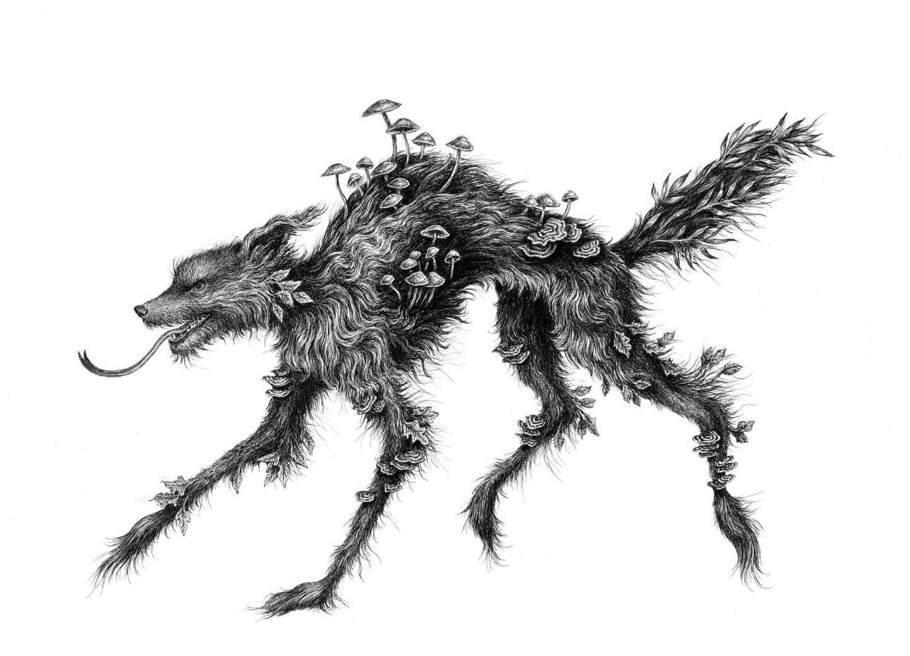 Original - Snarly Yow