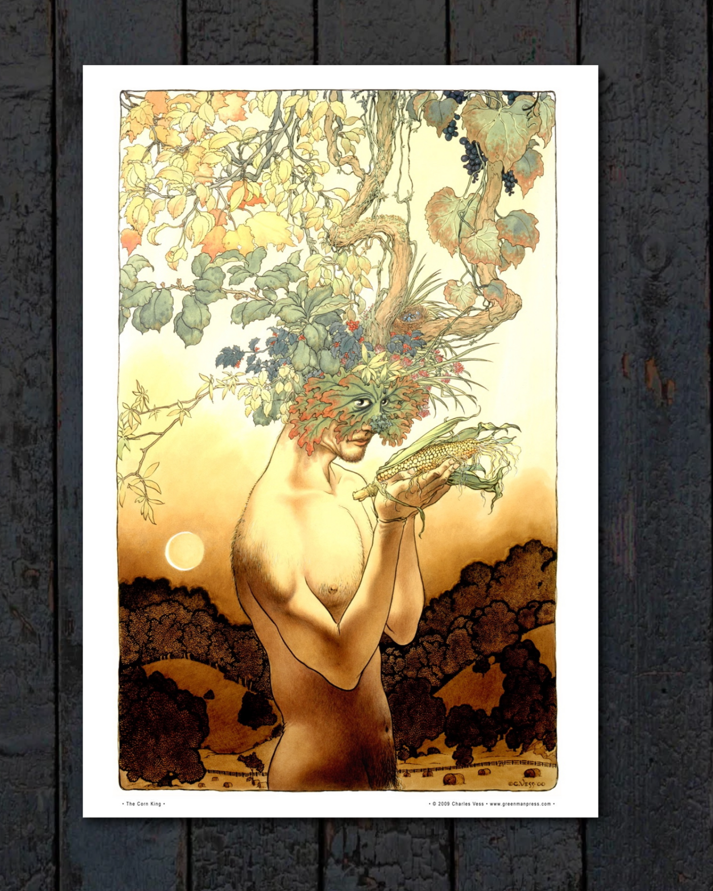 Print - The Corn King