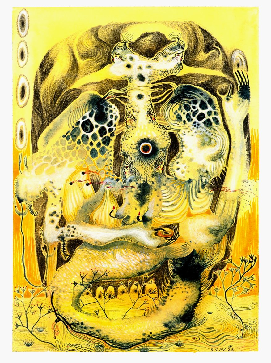 Print - Shell Collector