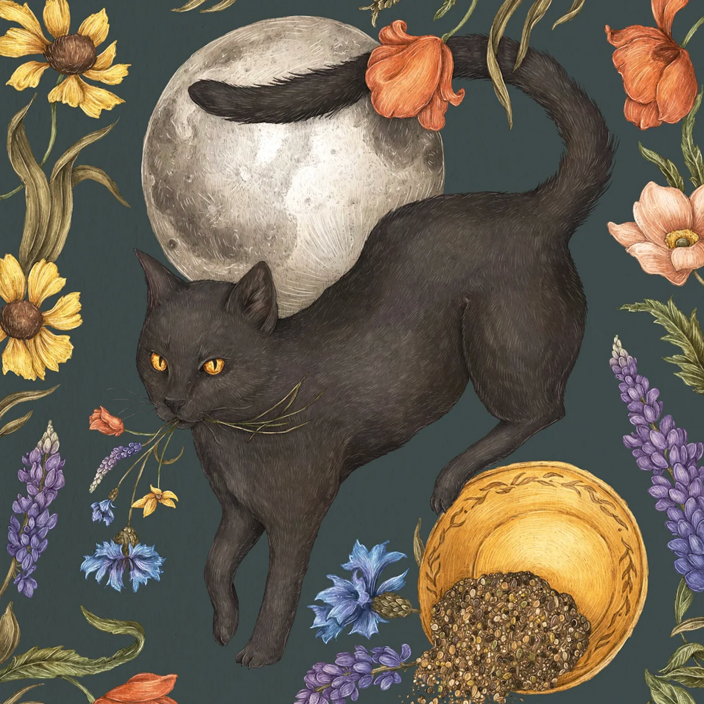 Print - Full Moon & Black Cat
