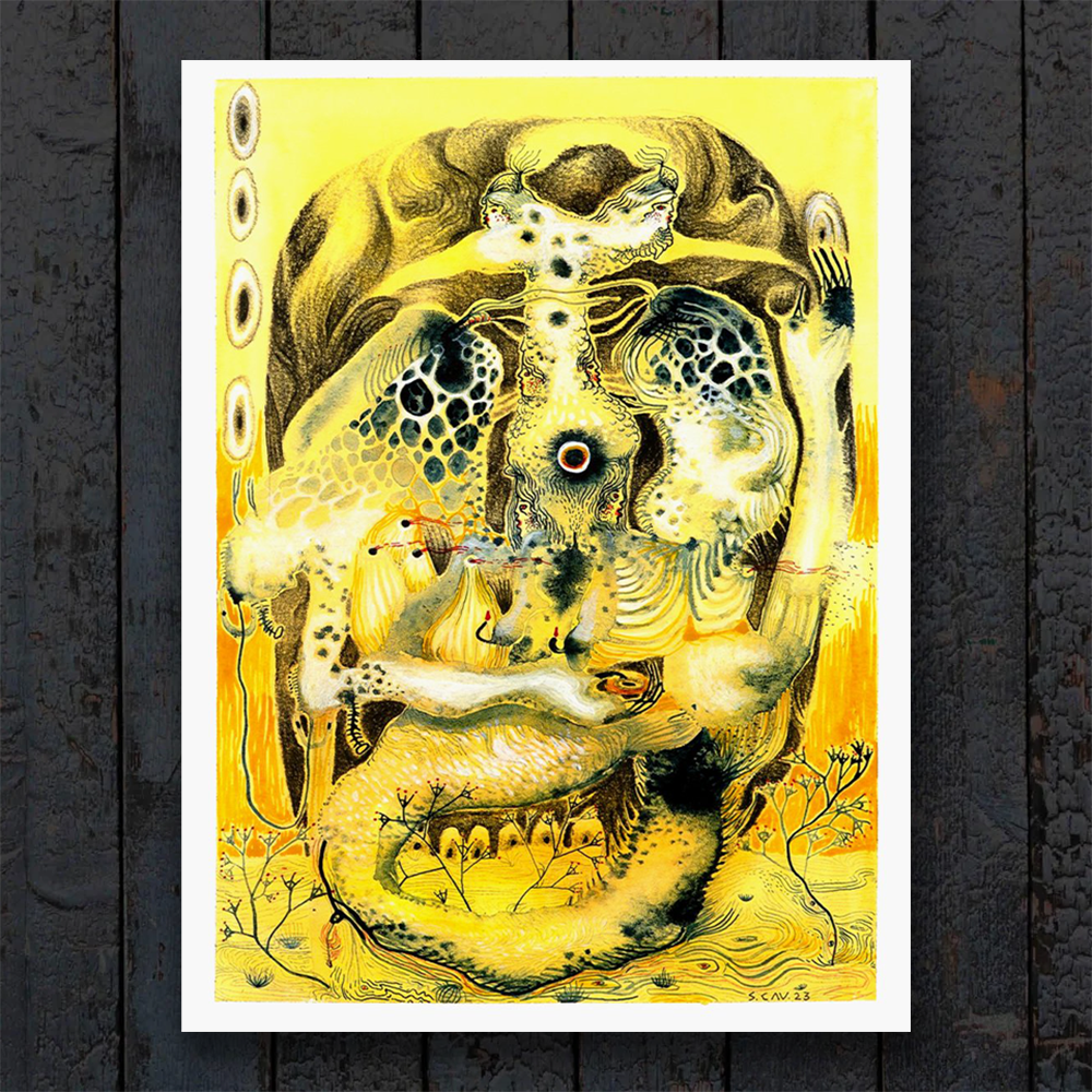 Print - Shell Collector