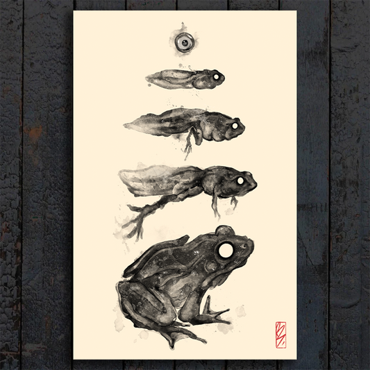 Print - Metamorphasis I