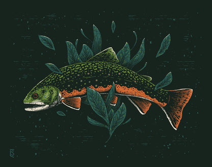 Print - Brook Trout