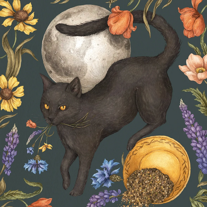 Print - Full Moon & Black Cat