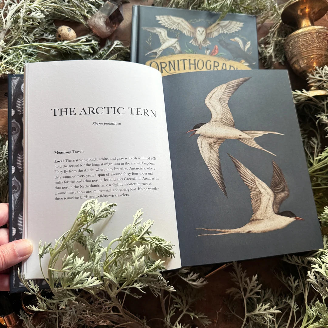 Book - Ornithography