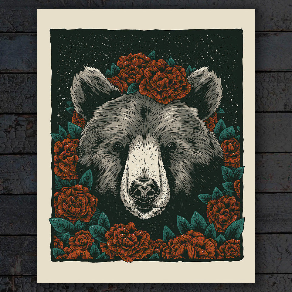 Print - Black Bear