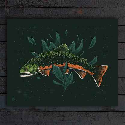 Print - Brook Trout