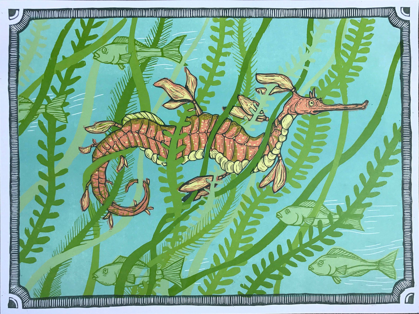 Print - Weedy Sea Dragon