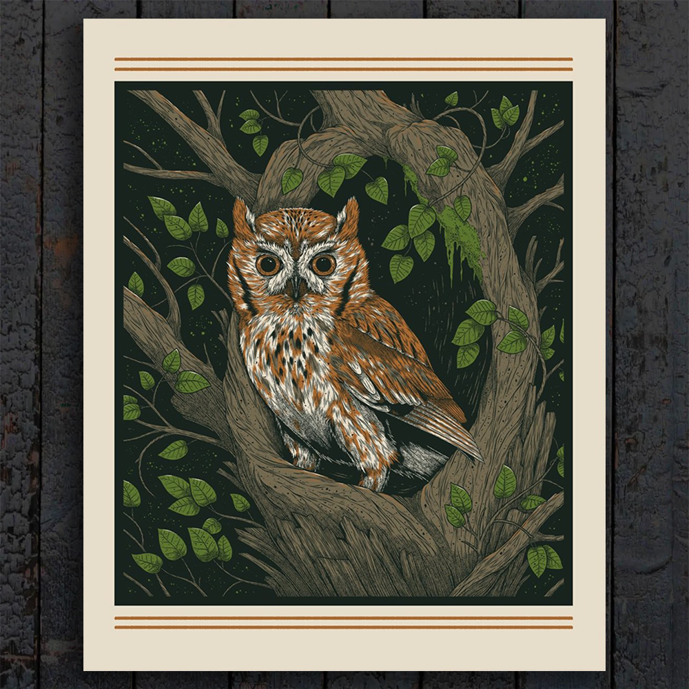 Print - Screech Owl