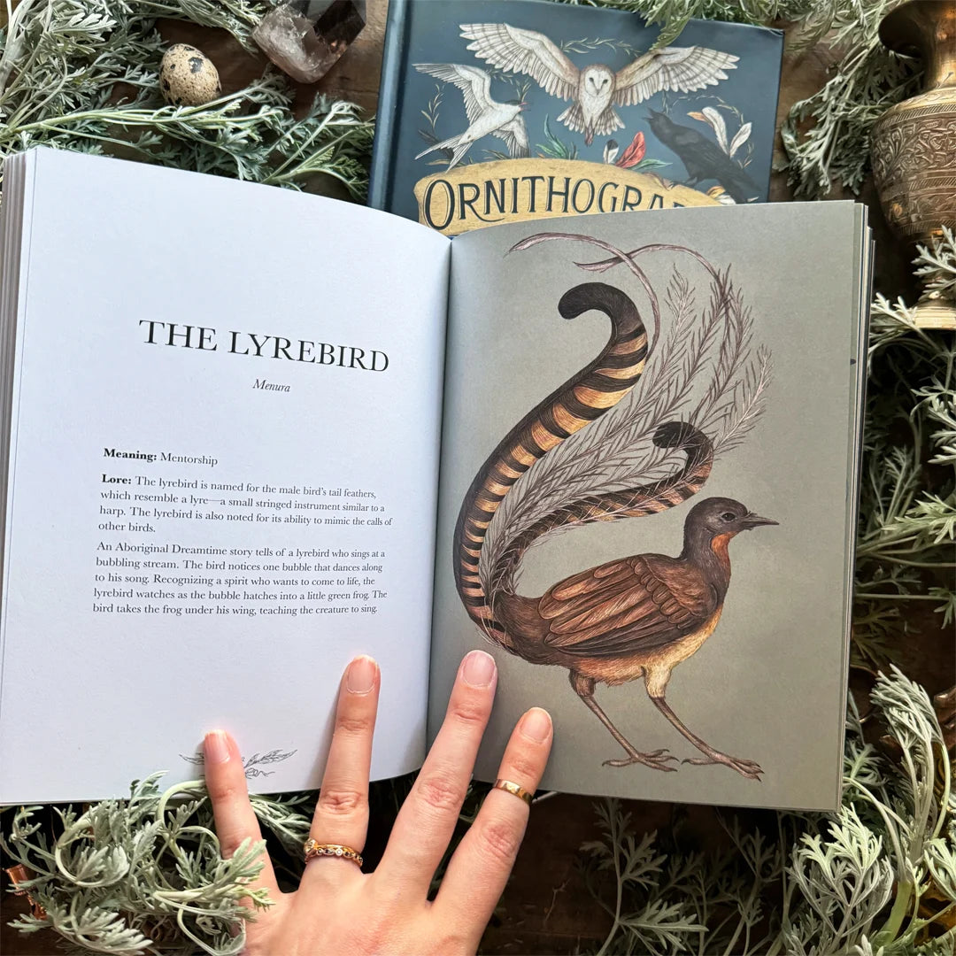 Book - Ornithography