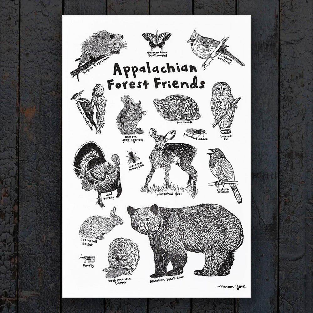 Print - Appalachian Forest Friends