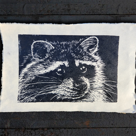 Print - Raccoon
