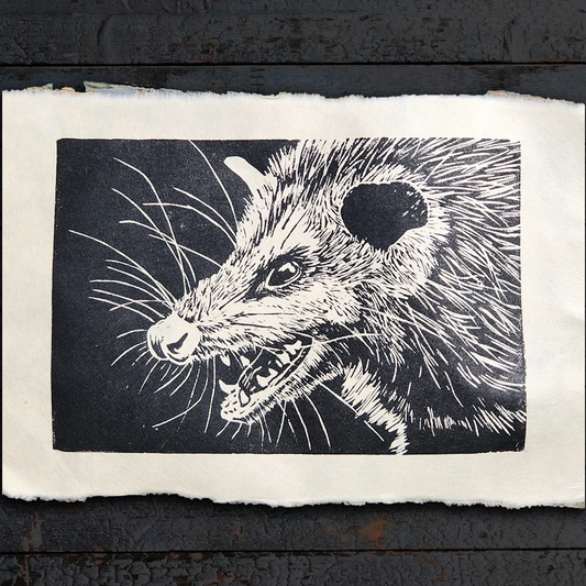 Print - Possum